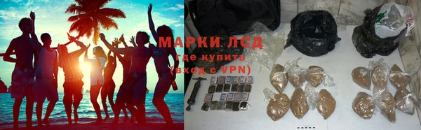 мдпв Осташков