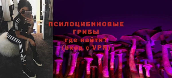 не бодяженный Осинники