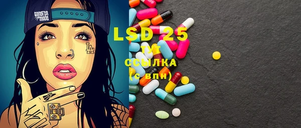 мдпв Осташков