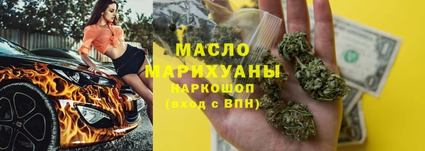 гидра Инта